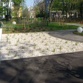 Pflanzung, Park, Asphalt, Glasdeko, Bäume