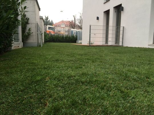 Grünraumgestaltung - Objektbegrünung