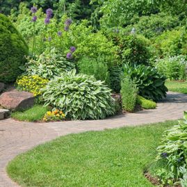 Garte, Zen, Asiatisch, Lilien, Rasen, Statue, Stufen, Hecke,Steinweg