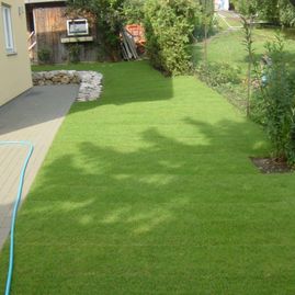 rasen, gehweg, garten, haus